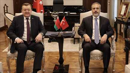 Алейник рассказал главе МИД Турции про «преступные» санкции США, тот в ответ — про «жестокость» Израиля