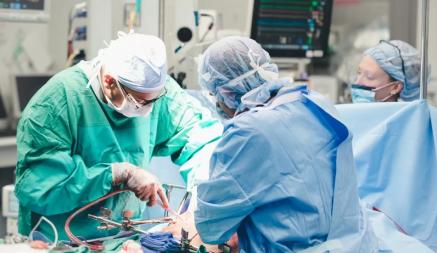 В Японии мужчину осудили за организацию операций по трансплантации органов в Беларуси