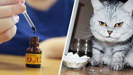 Зачем на творог капать йод? Узнали, как определить качественный. Или лучше приготовить самим?