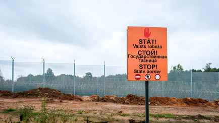 СК обвинил «прибалтийские карательные батальоны» в смерти нелегала, найденного в Беларуси