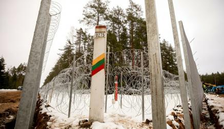 «Живем в условиях войны» — Глава ДМ Литвы рассказала о выдворении 1000 белорусов и кого предлагает «вообще не пускать»