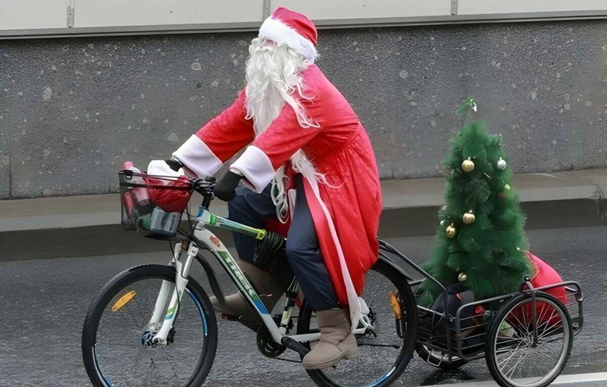 Теперь точно. Белгидромет рассказал, какой будет погода в Беларуси на Новый год
