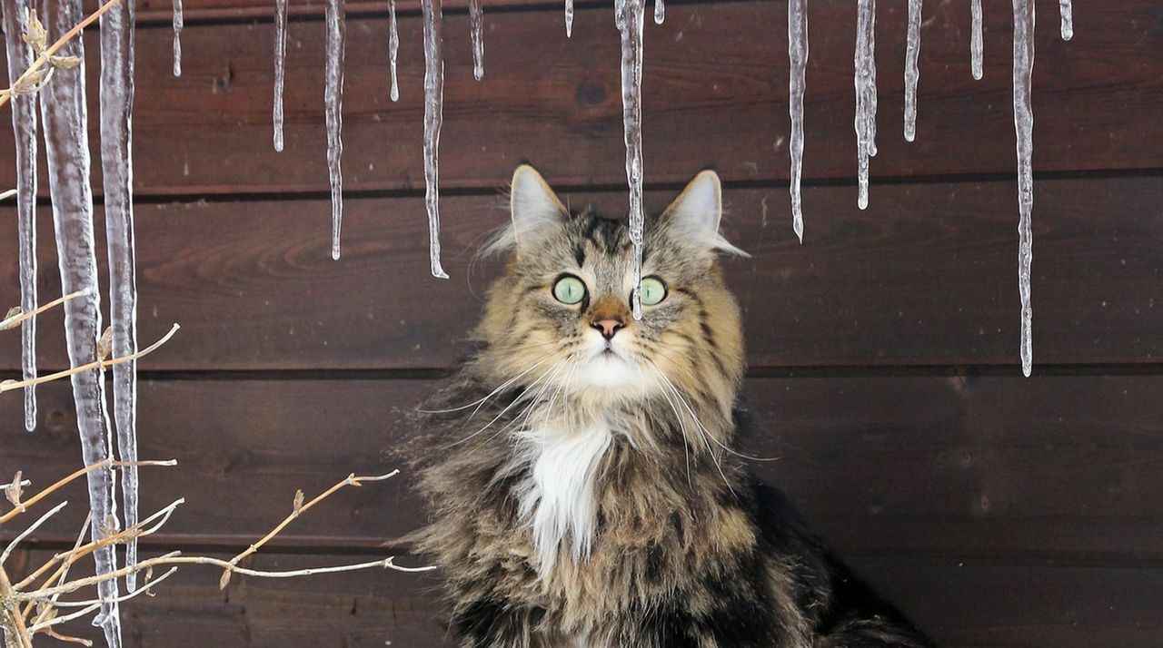 Фото иллюстрационное