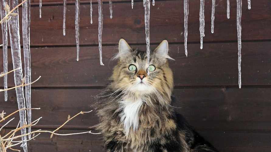 Фото иллюстрационное