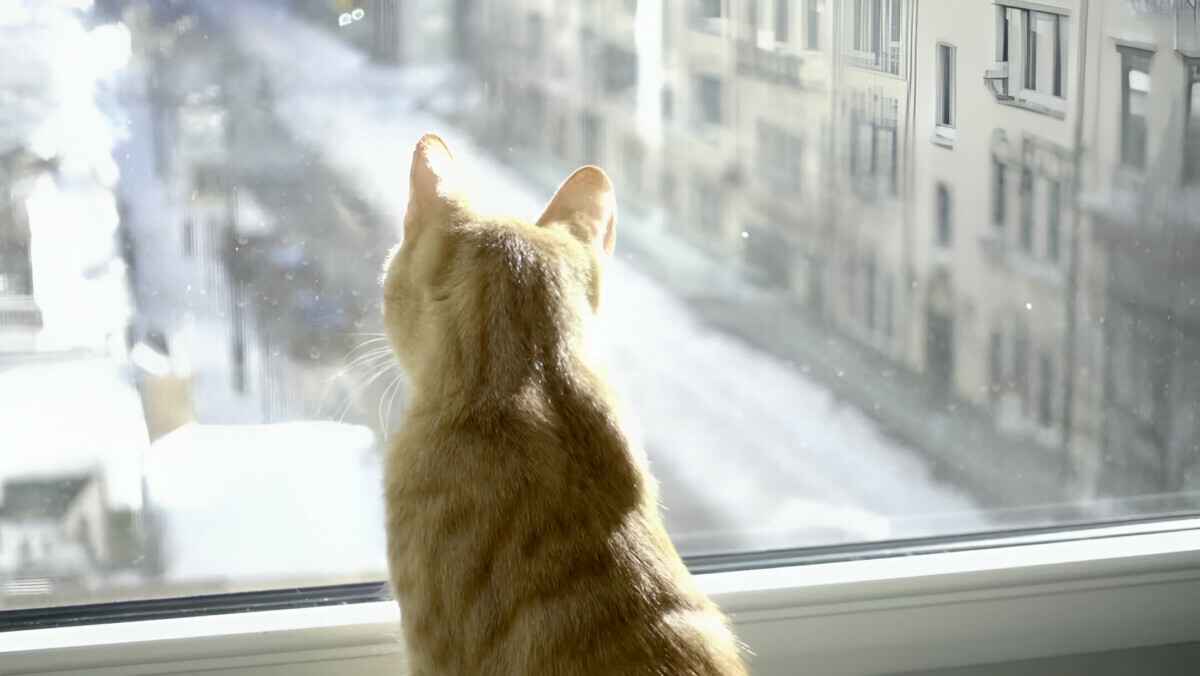 "Закройте окна" - В Беларуси обьявили оранжевый уровень опасности на 22 декабря