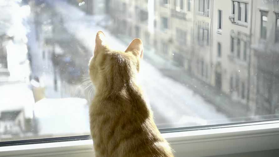 "Закройте окна" - В Беларуси обьявили оранжевый уровень опасности на 22 декабря