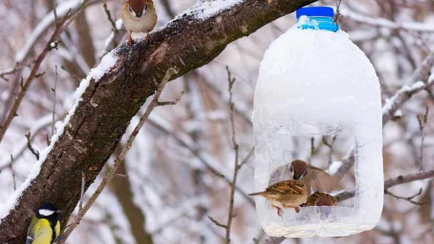 Фото иллюстрационное
