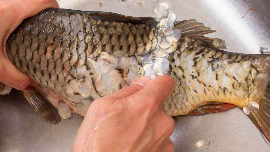 Фото иллюстрационное