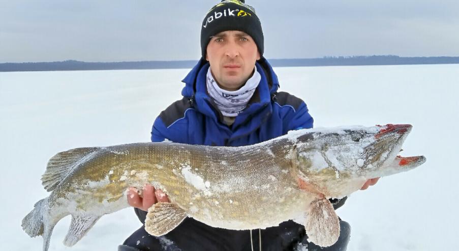 Аккаунт rybalka_v_belarusi сообщил подробности улова: рыбу Михаил поймал