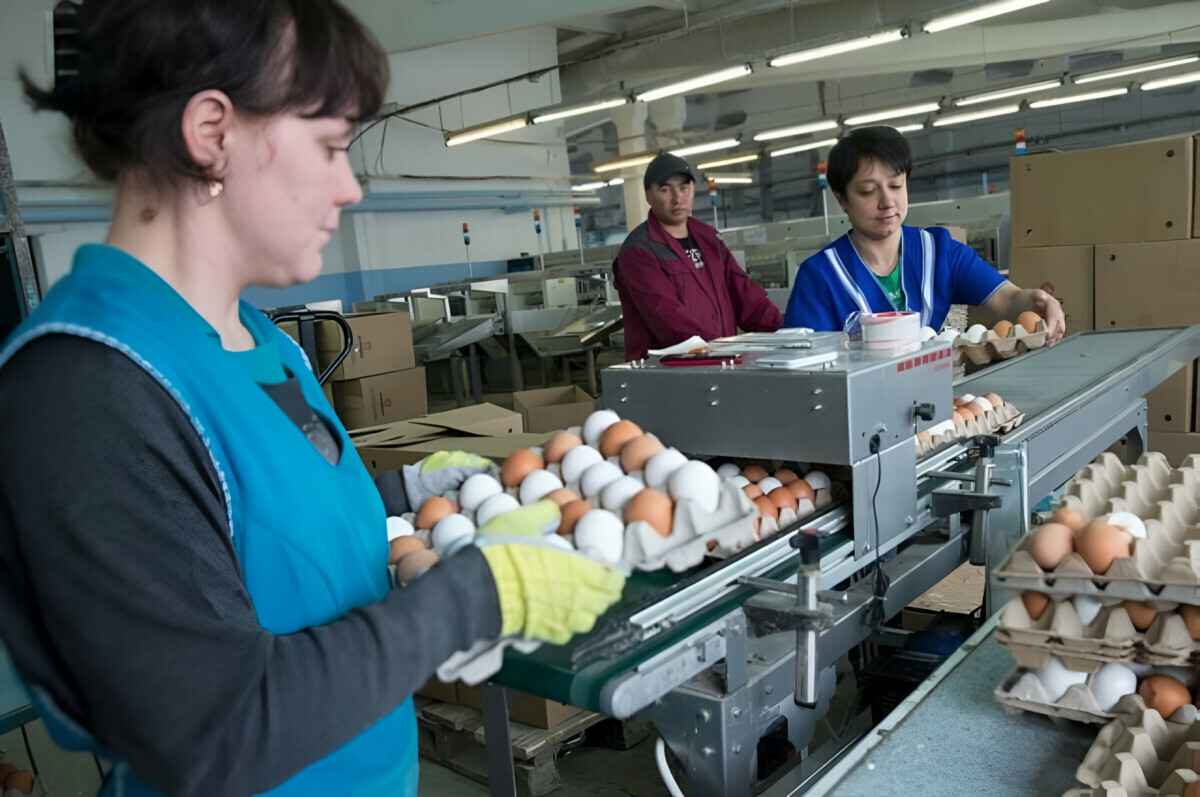 Фото – иллюстративное.