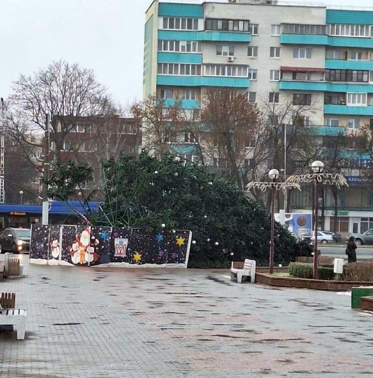 В Бресте упала елка, которую установили возле администрации