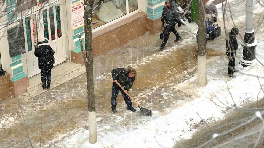 Дождь и мокрый снег предсказали синоптики до 25 декабря, но не везде. Где в Беларуси ждут +5, а где – метель?