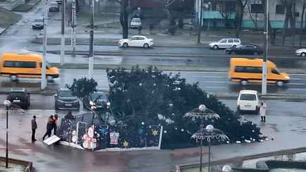 В Бресте упала елка, которую установили возле администрации