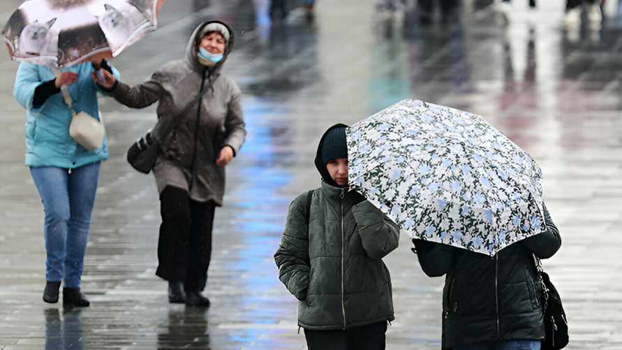 «Будет не ахти» – Синоптики предсказали, где на больших выходных в Беларуси ждать метели, а где ливни