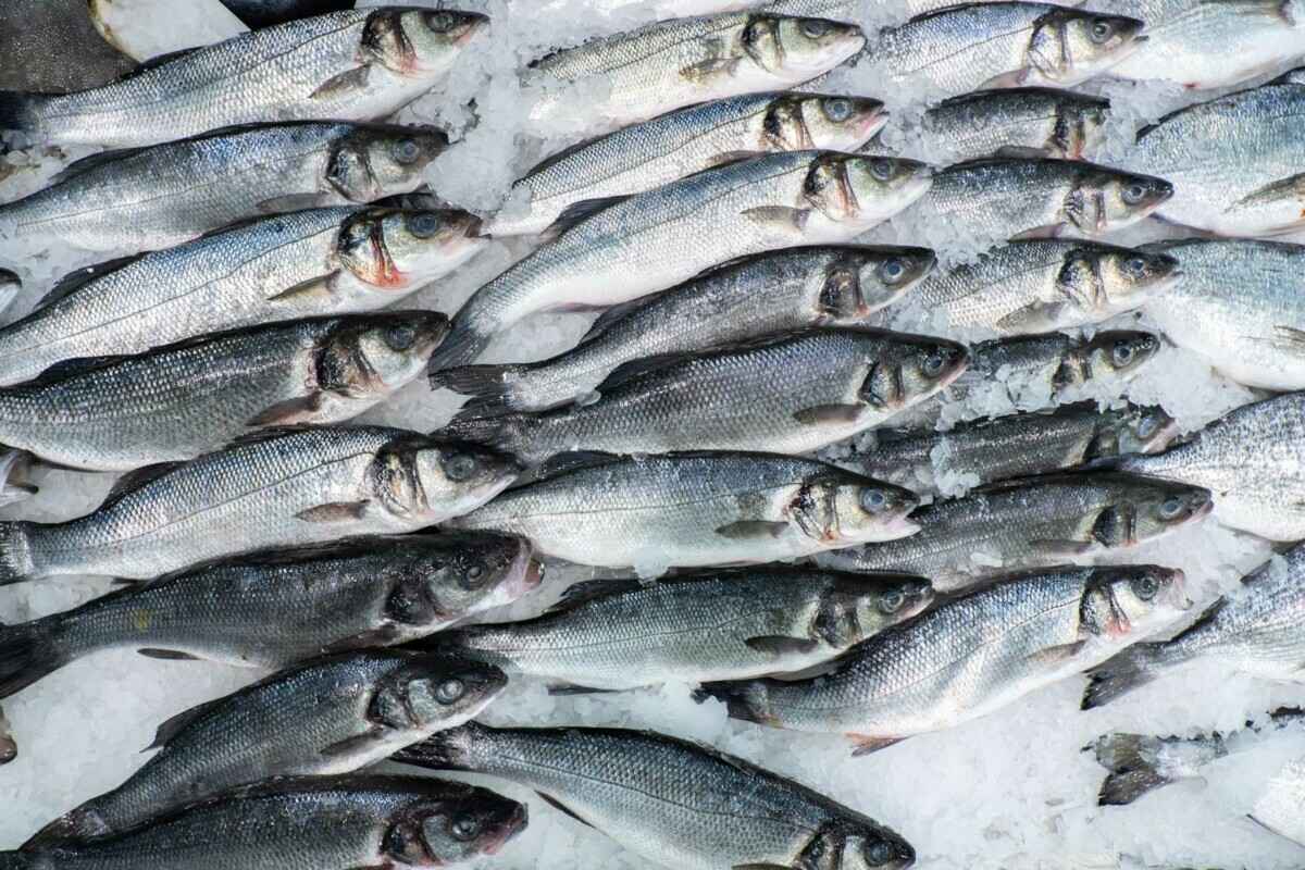 Фото с сайта Россельхознадзора.