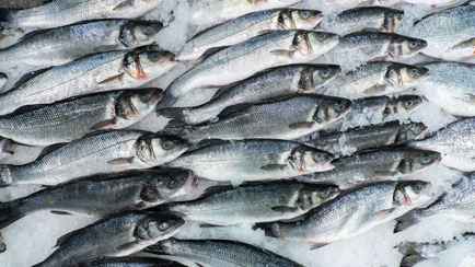 Россельхознадзор обвинил белорусских чиновников в «формальном подходе». Что случилось?