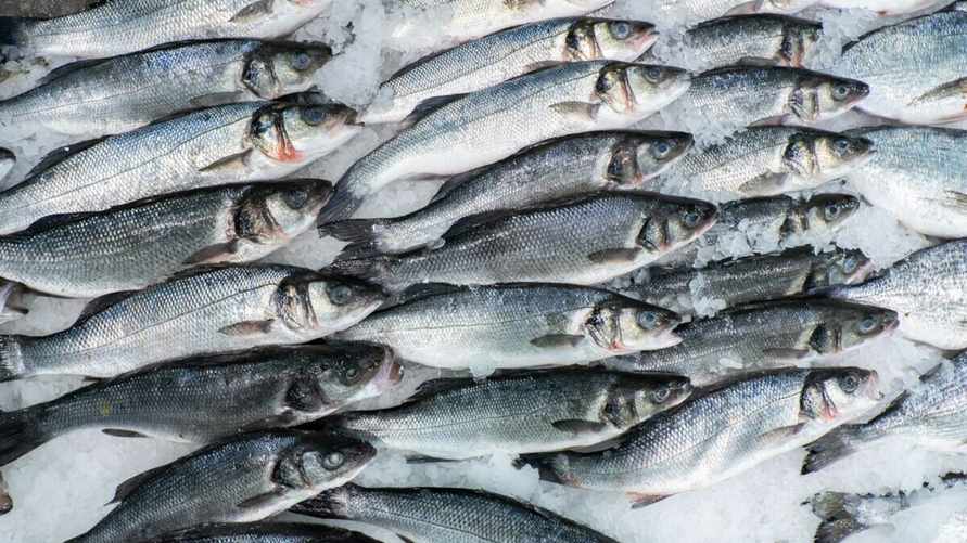 Фото с сайта Россельхознадзора.