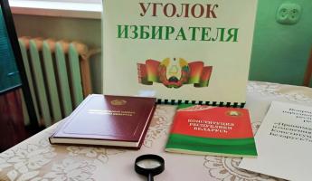 ЦИК Беларуси обязал оснастить избирательные участки лупами и трафаретами. Кому предложат голосовать за столом, а не в кабинке?