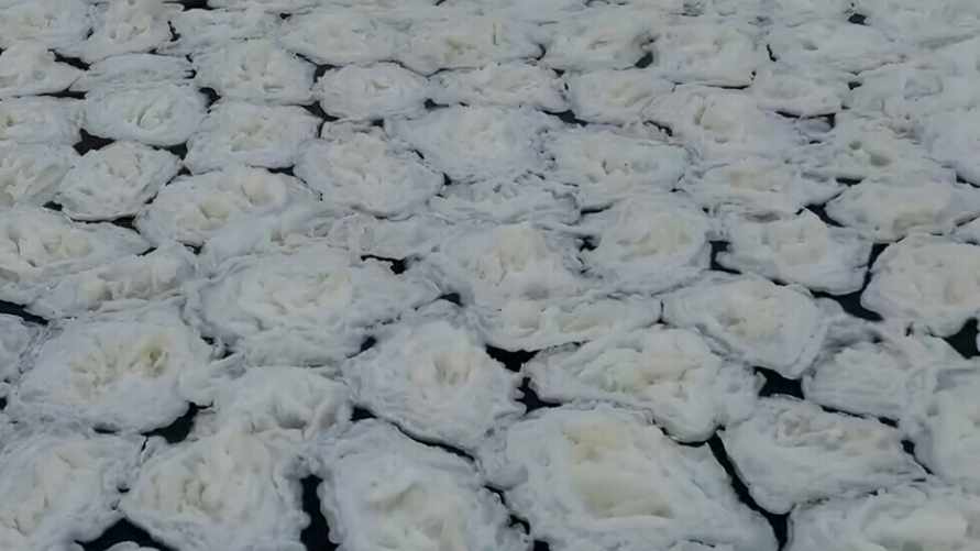 В Минске на Свислочи заметили странный жидкий лёд. Когда ждать "снежуру" и "зажор"?