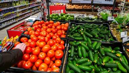 Что происходит с ценами на огурцы и помидоры в Беларуси? Посмотрели в крупных торговых сетях