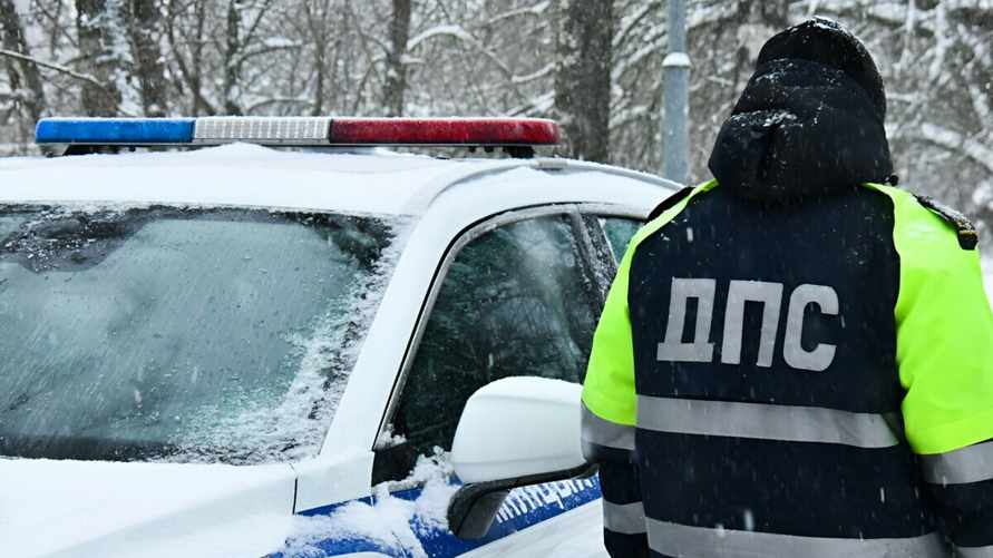 ГАИ стихами предупредила белорусов о новогодних рейдах со штрафами и лишением прав