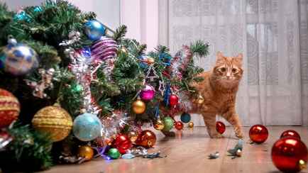Чем опрыскать ёлку, чтобы кошка потеряла к ней интерес? Узнали, какие запахи ей не нравятся