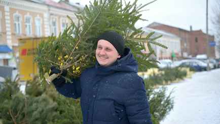 В мэрии Минска рассказали, где и когда откроют ёлочные базары. А в регионах?