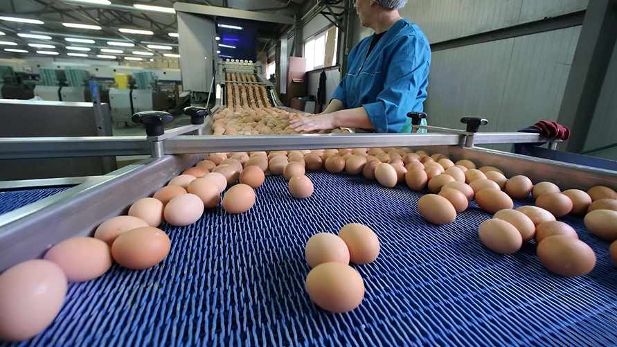 Фото иллюстрационное: РИА "Новости"