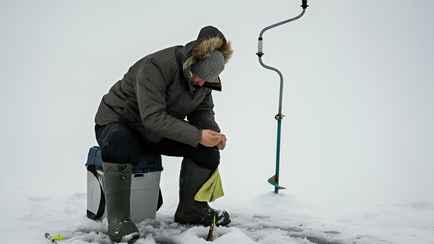 В Беларуси запретили лов тресковой рыбы. Надолго?