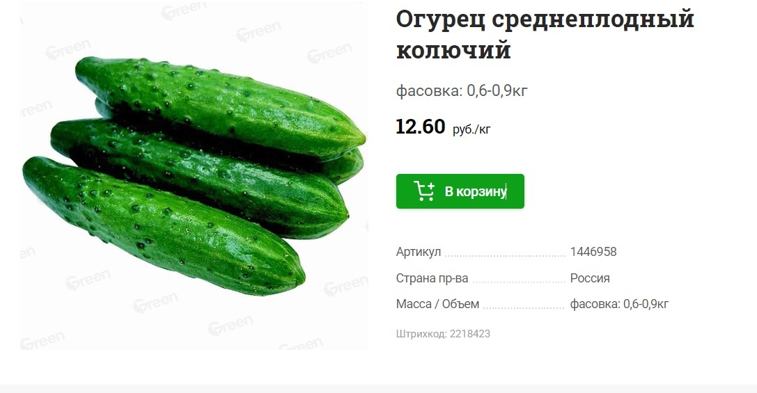 Главе МАРТ показали, как растят белорусские зимние огурцы. Сколько стоят в магазинах?