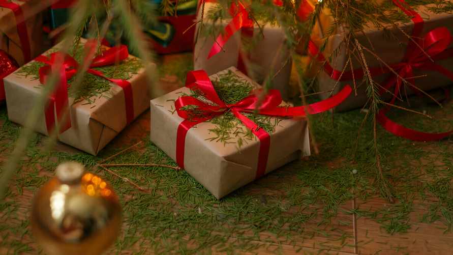 Что делать, если новогодняя ёлка начала сильно терять иголки? Вот несколько важных правил и хитростей