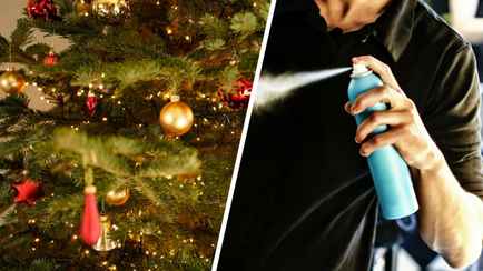 Что сделать, чтобы живая ёлка простояла дольше? Поможет одно косметическое средство. А сахар зачем?