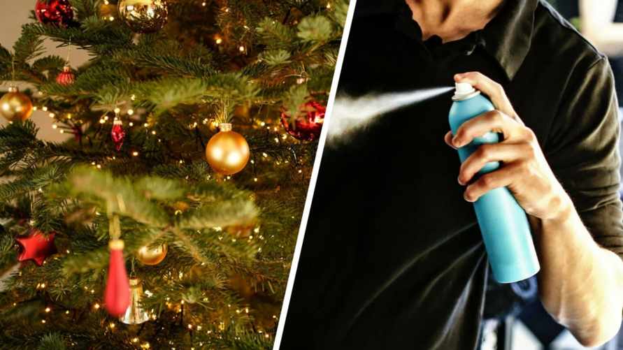 Что сделать, чтобы живая ёлка простояла дольше? Поможет одно косметическое средство. А сахар зачем?