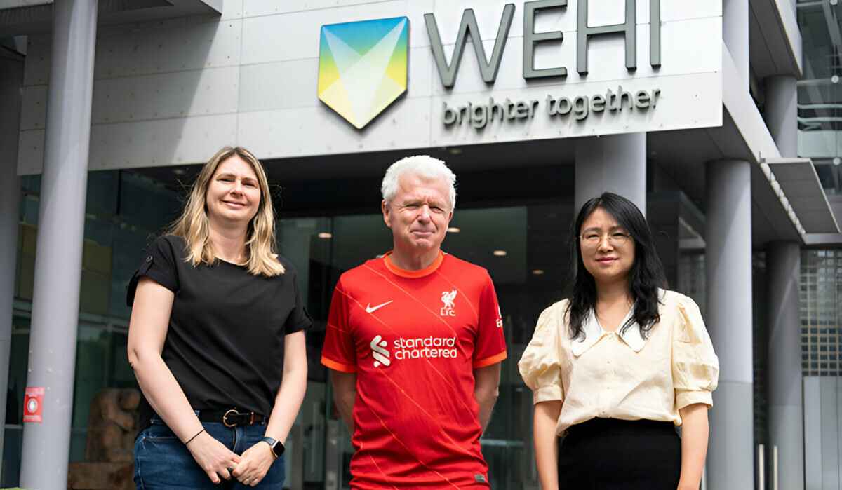 Доцент Джемма Келли, профессор Андреас Штрассер и доктор Зилу Ванг из WEHI.