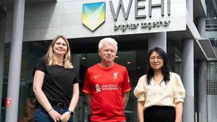 Ученые из Австралии сообщили, что нашли новое направление в лечении рака