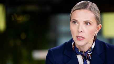 МВД Литвы призвало ограничить белорусов