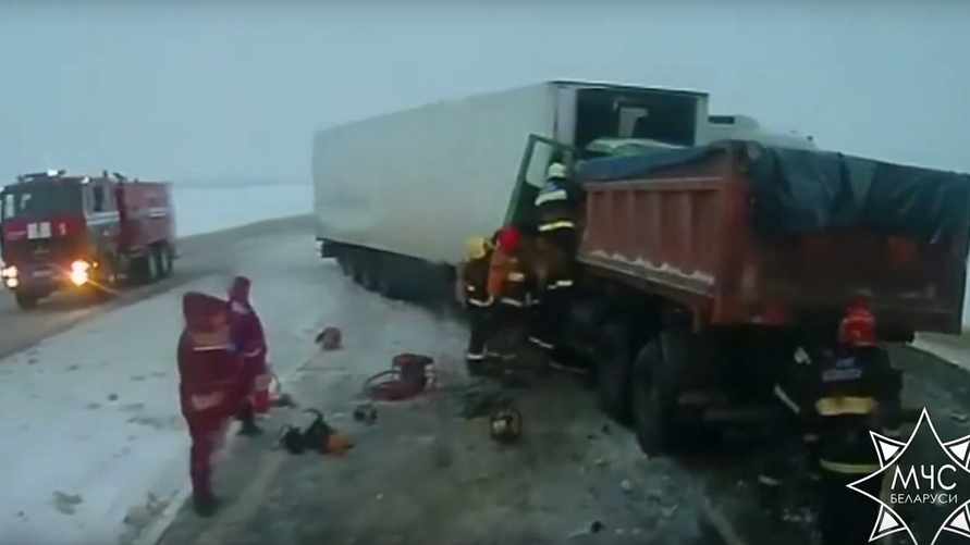 Фото: скриншот видео МЧС РБ