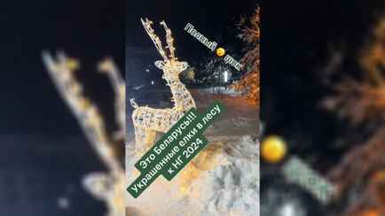 «Свои олени сказочные» — В Минске коммунальники необычно украсили парк. Как оценили подписчики?