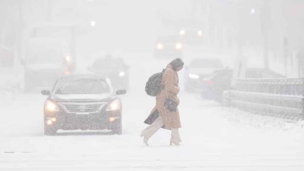 Фото иллюстрационное