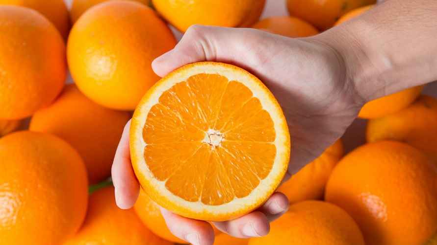 Фото: freepik.com/pch.vector