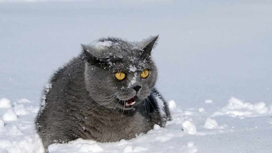 Фото иллюстрационное