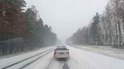 ГАИ устроила рейды по белорусским полям и лесам. Это ещё зачем?