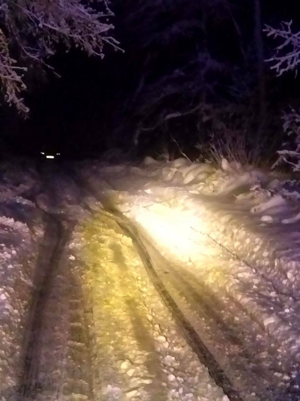 Жители Витебска сняли "взрыв" и зарево над лесом. В МЧС заявили, что это другое