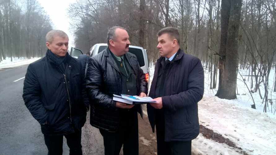 «Откровенный бардак» – Министр лесного хозяйства Беларуси предложил поменять законодательство