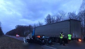 Под Берёзой пьяная женщина на легковушке сбила человека и влетела в стоящую на обочине фуру – двое погибших