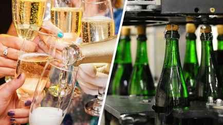 Из чего делают «шампанское»? Разобрались, что искать на этикетке настоящих игристых вин