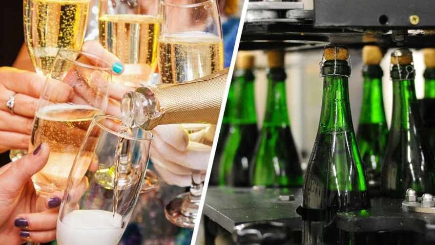 Из чего делают «шампанское»? Разобрались, что искать на этикетке настоящих игристых вин