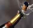 Как легко закрыть недопитое шампанское? Не выбрасывайте мюзле