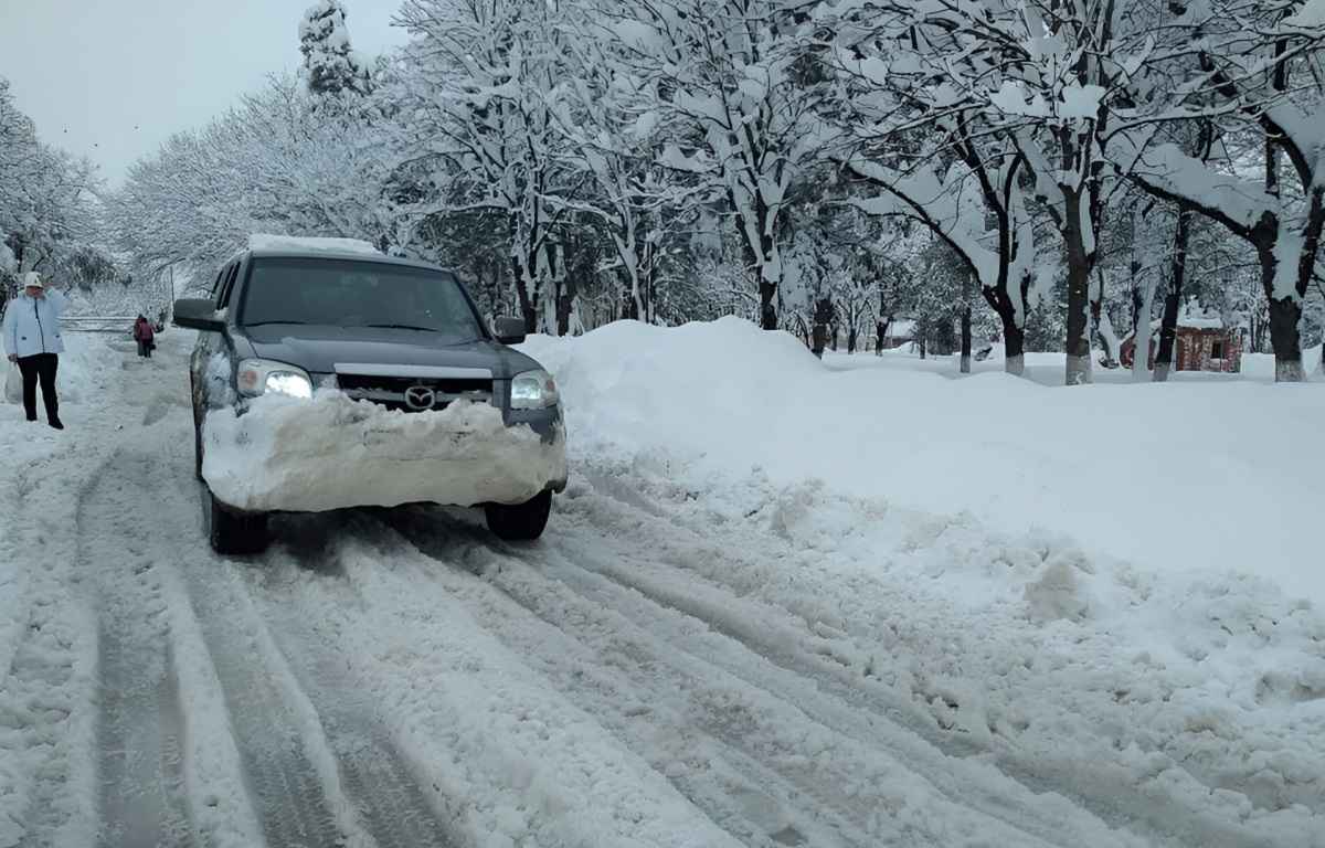 Фото иллюстрационное: kp.ru