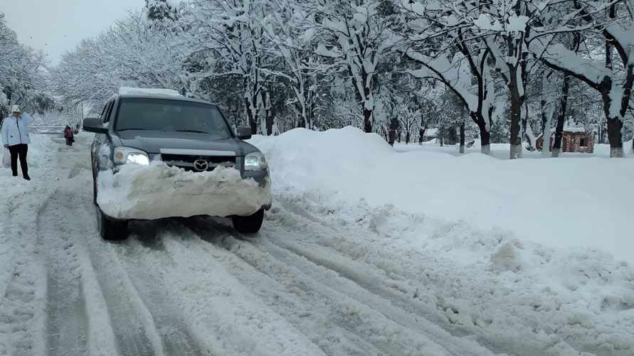 Фото иллюстрационное: kp.ru